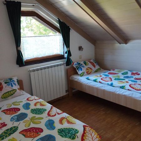 Apartmani Gruzdovo Delnice Ngoại thất bức ảnh