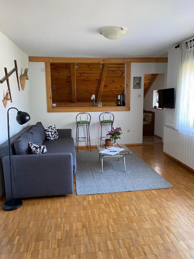 Apartmani Gruzdovo Delnice Ngoại thất bức ảnh
