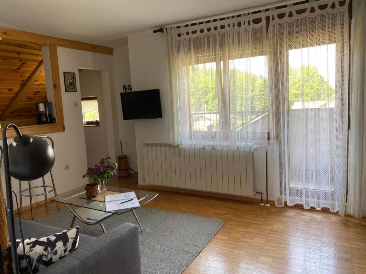 Apartmani Gruzdovo Delnice Ngoại thất bức ảnh